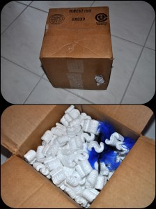 DSC_0027_Fotor_Collage